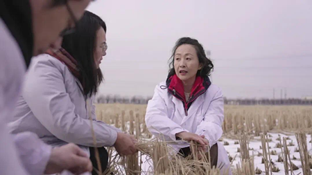 中国饭碗 东北粮仓丨在辽全国人大代表张艳：智慧农业让“会种田